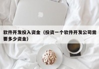 软件开发投入资金（投资一个软件开发公司需要多少资金）