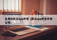 实用的武汉app开发（武汉app外包开发公司）